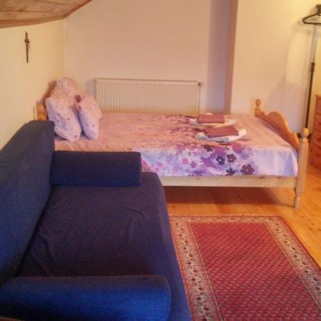 Casa Doina Ξενοδοχείο Buşteni Εξωτερικό φωτογραφία