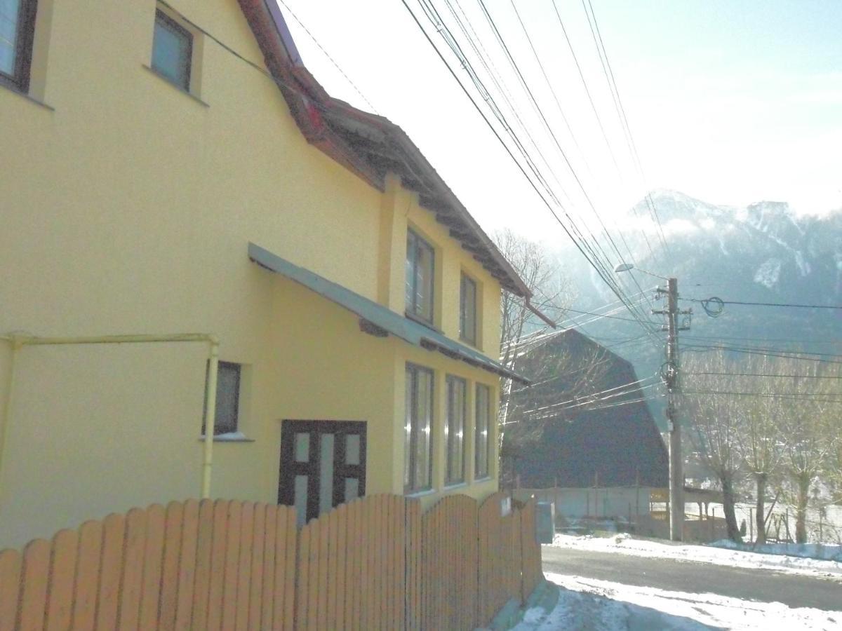 Casa Doina Ξενοδοχείο Buşteni Εξωτερικό φωτογραφία
