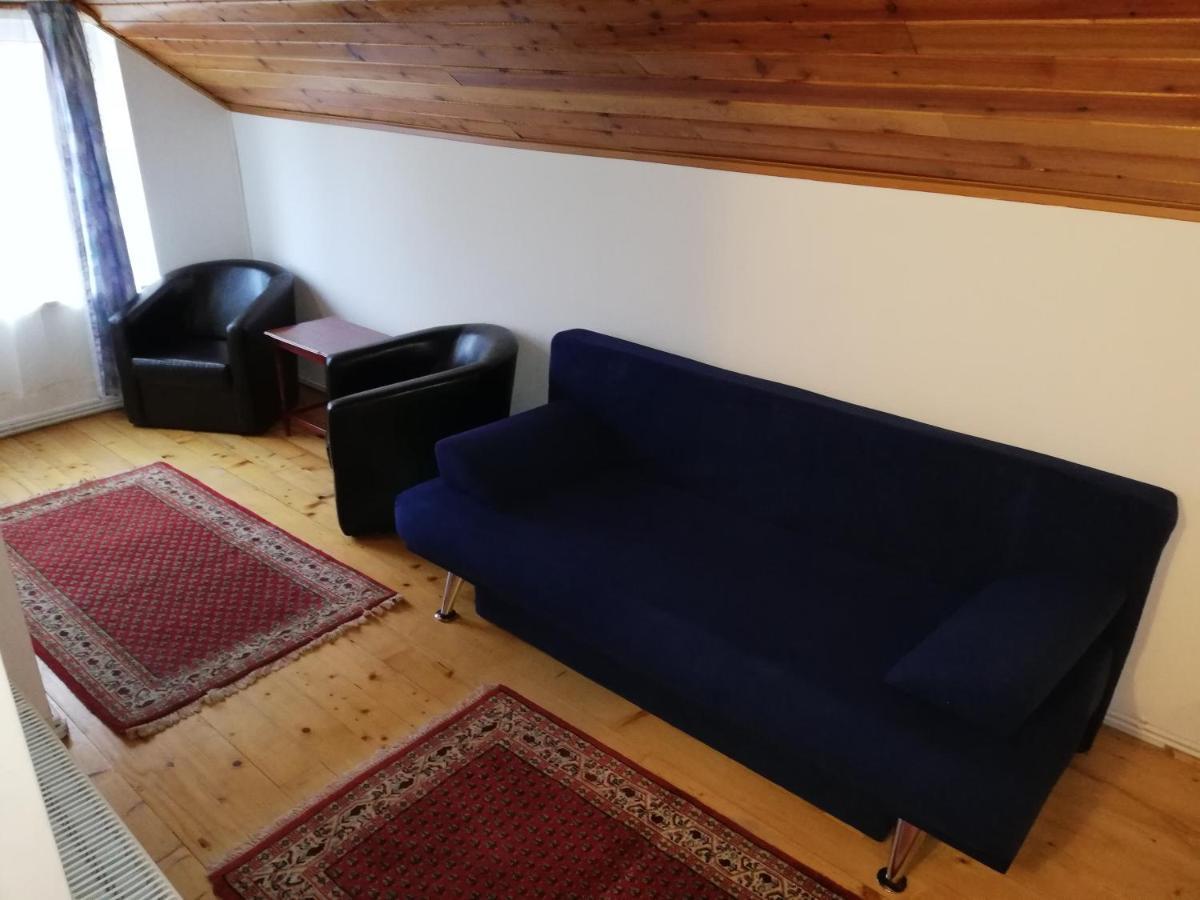 Casa Doina Ξενοδοχείο Buşteni Εξωτερικό φωτογραφία