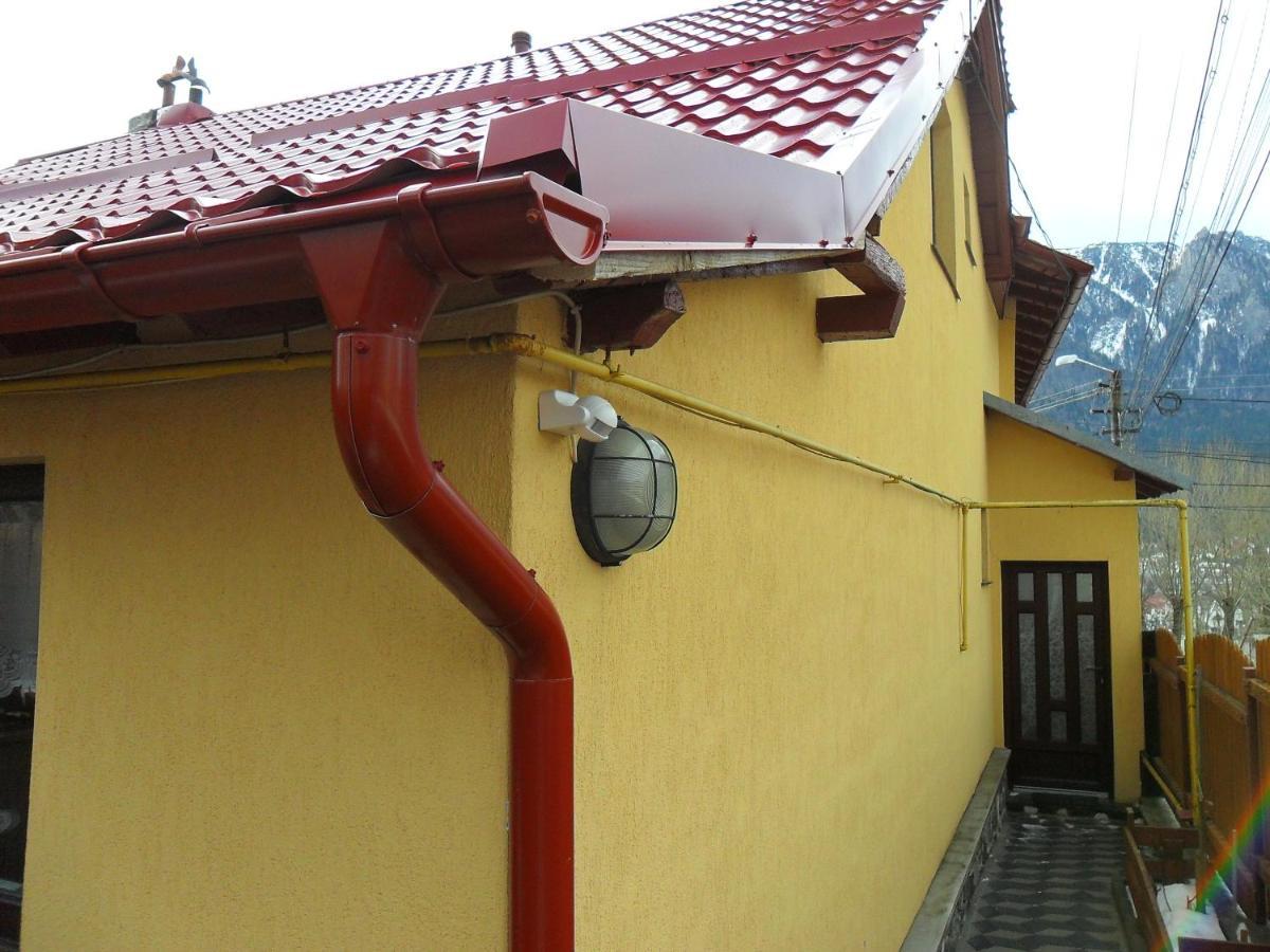 Casa Doina Ξενοδοχείο Buşteni Εξωτερικό φωτογραφία