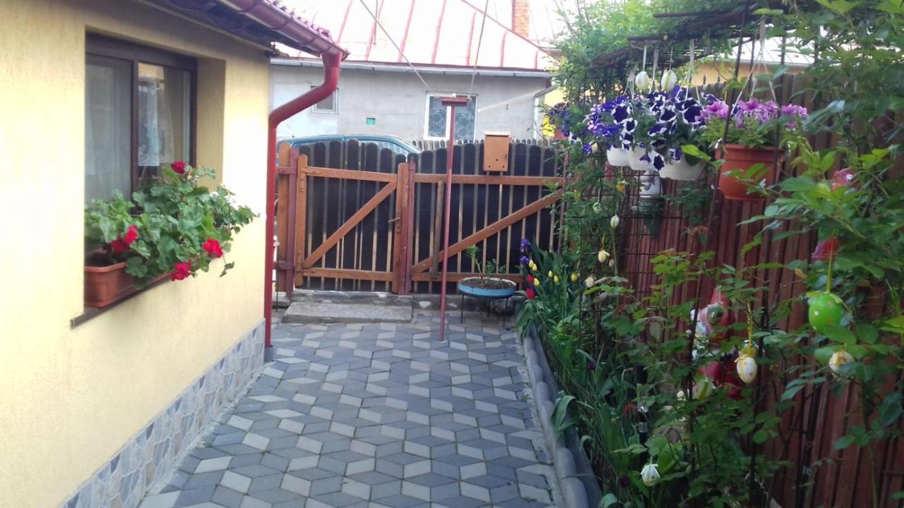 Casa Doina Ξενοδοχείο Buşteni Εξωτερικό φωτογραφία
