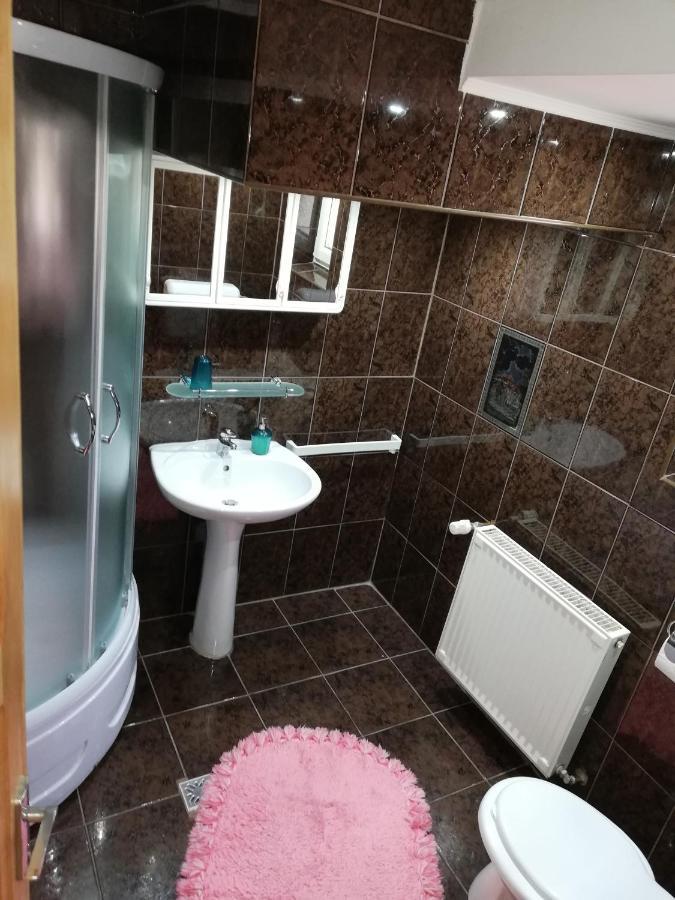 Casa Doina Ξενοδοχείο Buşteni Εξωτερικό φωτογραφία