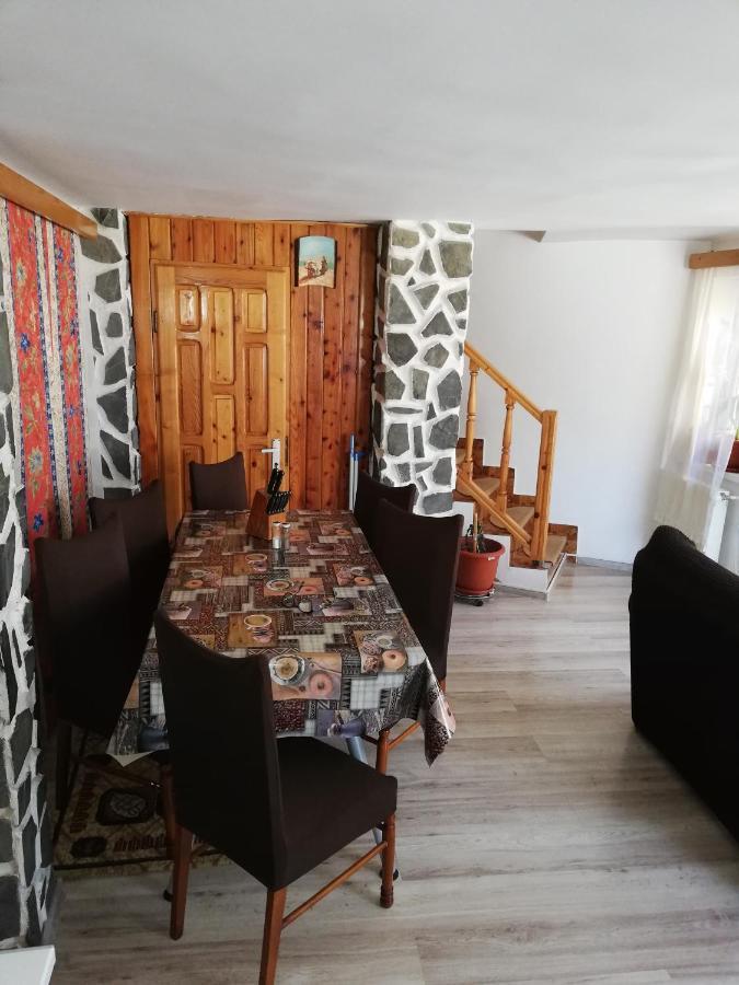 Casa Doina Ξενοδοχείο Buşteni Εξωτερικό φωτογραφία