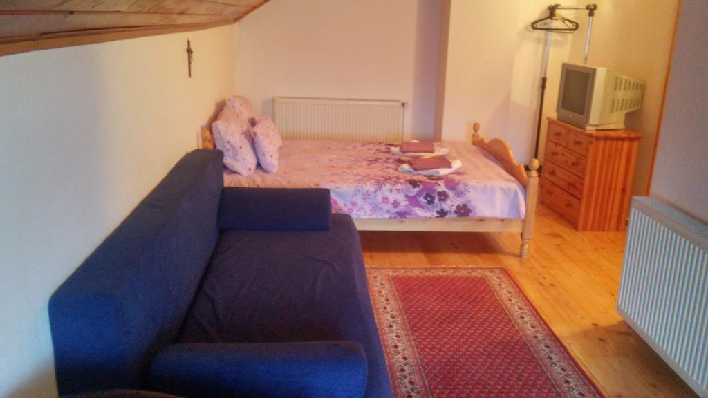 Casa Doina Ξενοδοχείο Buşteni Εξωτερικό φωτογραφία